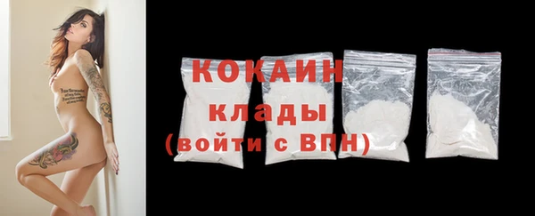 дживик Арсеньев