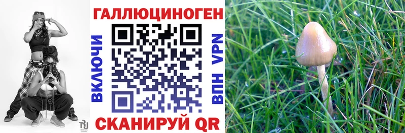 Псилоцибиновые грибы MAGIC MUSHROOMS Калининск